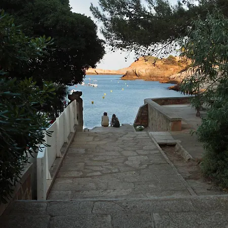 Hostal Sa Rascassa (Adults Only)-3