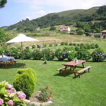 Hotel Migal-2