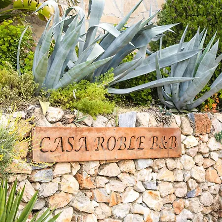 Casa Roble B&B-3