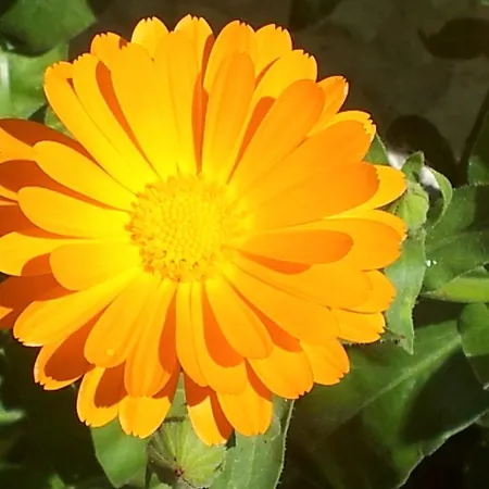 Hostal Casa Mercedes-2