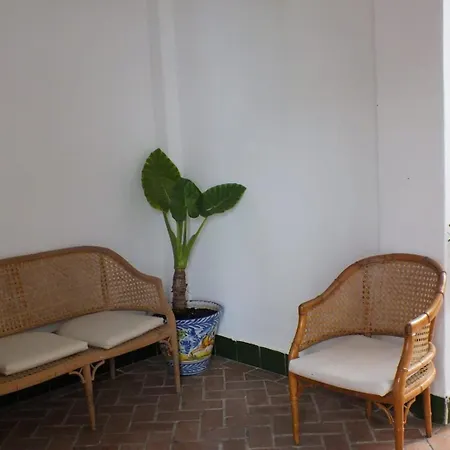 Patio Cordobes-3