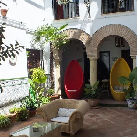 Patio Cordobes-2