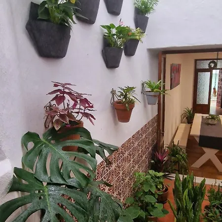 La Casa De Abuela Habitaciones Con Bano Compartido En El Casco Historico De Frigiliana "Solo Adultos"-2