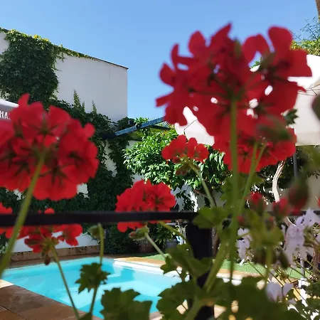 Suite Comares-2