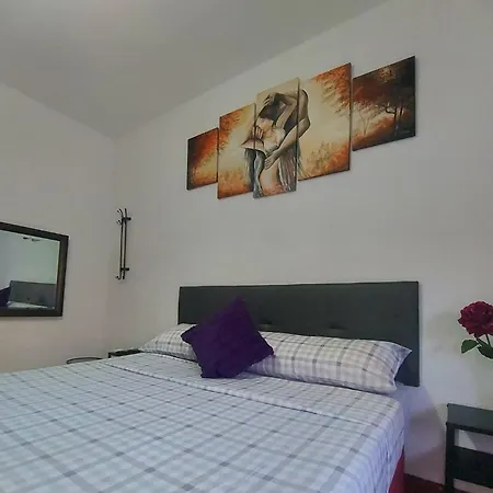 Viive Lavida Rooms Madrid-2