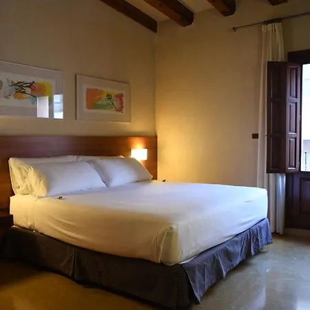 Sercotel Palacio de Tudemir-2