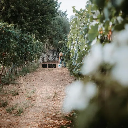 Finca Es Cabas-2