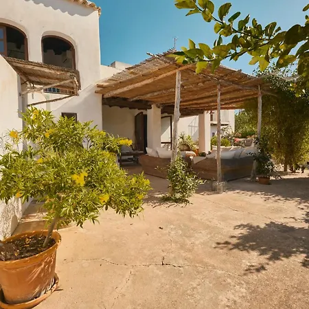 The Guardian House-2
