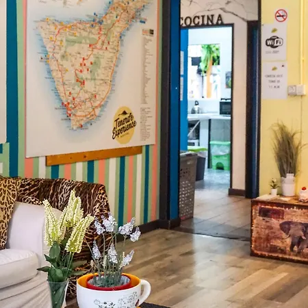 Tenerife Experience Hostel-2