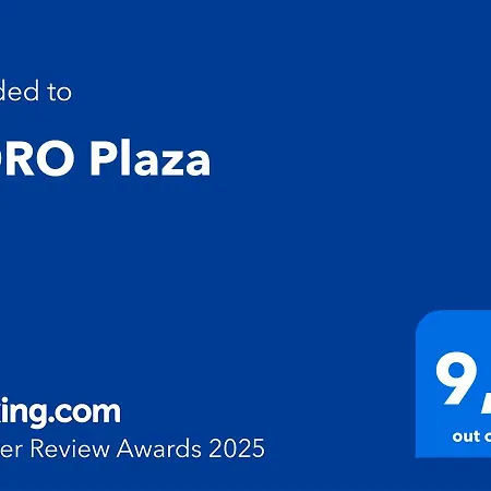 Noro Plaza-2