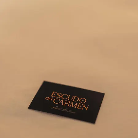 Hotel Boutique Escudo del Carmen-3