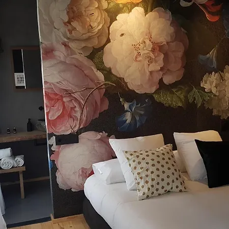 13 Suites-2