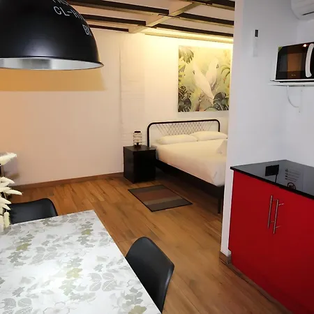 Increible Apartamento Con Terraza Al Lado De Torres De Quart-2