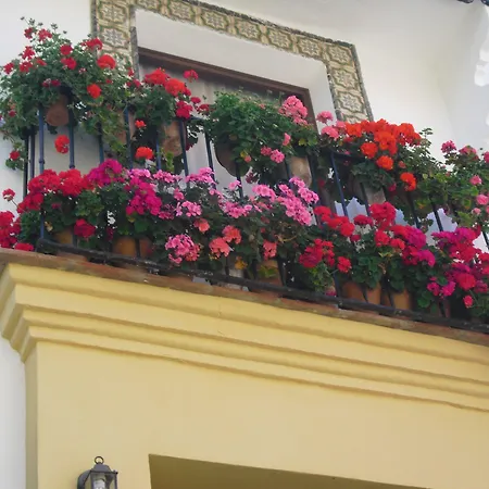 Ronda-2