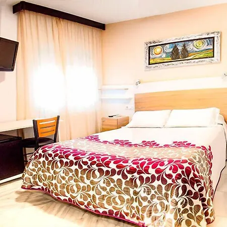 Hotel Albero-3