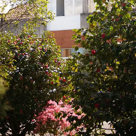B&B Hotel Oviedo-2