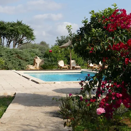 Hotel Sa Carrotja - Adults Only-3