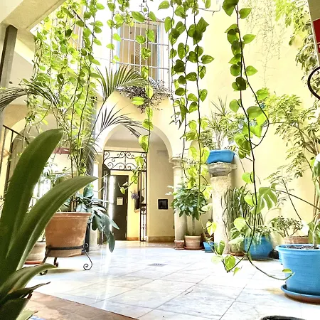 Hotel Conde De Cardenas-3