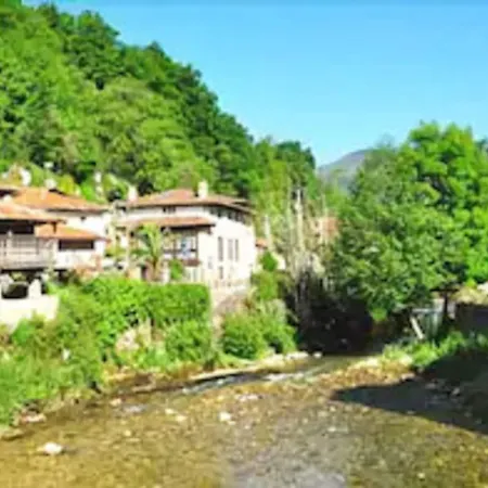 Hotel La Balsa-2