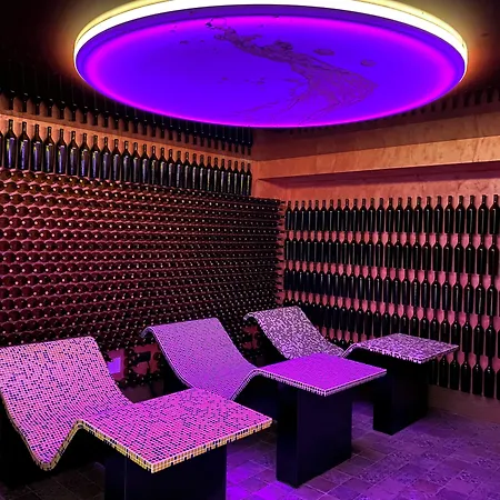Hotel SPA Bodega La Casona de La Vid-2