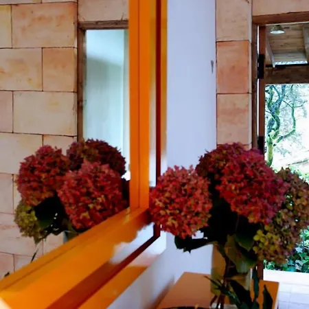 Hostal El Cardenillo-3