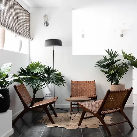 Terreno Suites-2