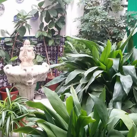 Hosteria de Rafi-2