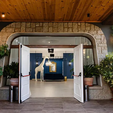 Hotel Zodiaco-3