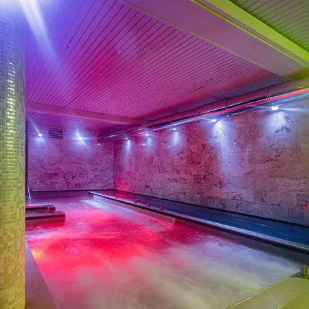 Hotel Spa Villa Pasiega-2