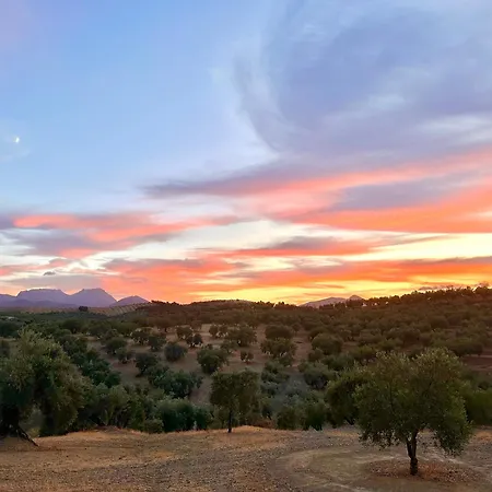 Hacienda el Tarajal-3