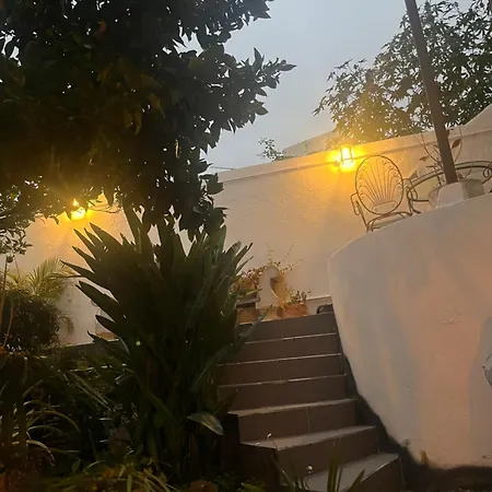 Gato Azul - Coliving-2