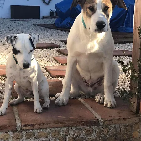 Todos Y Tonya-3