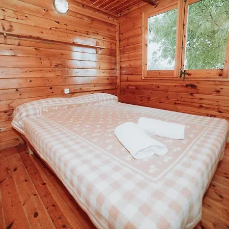 Vall D'Ager Resort & Camping-3