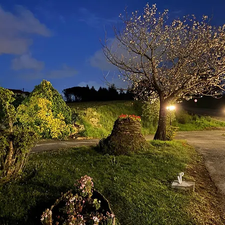 Posada El Jardin-3