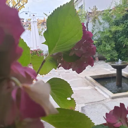 Hotel Labranza-2