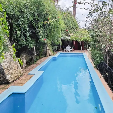 Navila Estudio en la piscina-3
