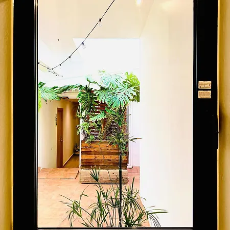 Nanit Rooms Ibiza Hostal-3