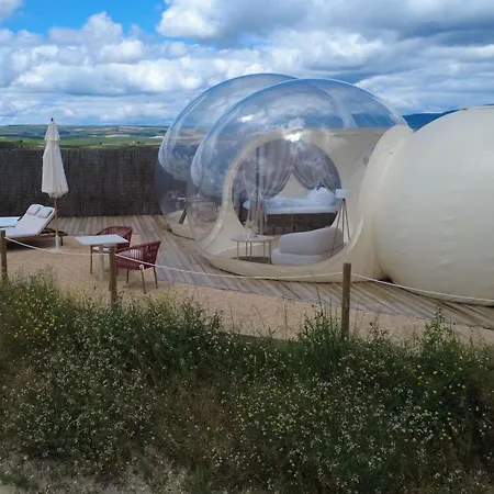 Wine Bubble-2