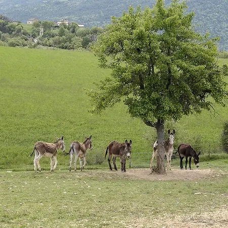 La Borda de Pastores-2