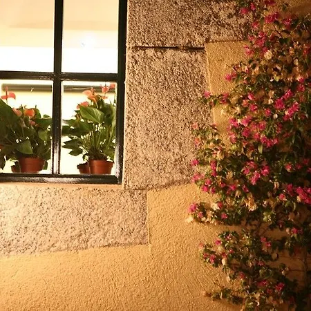 Hotel Castell De L'Oliver-3