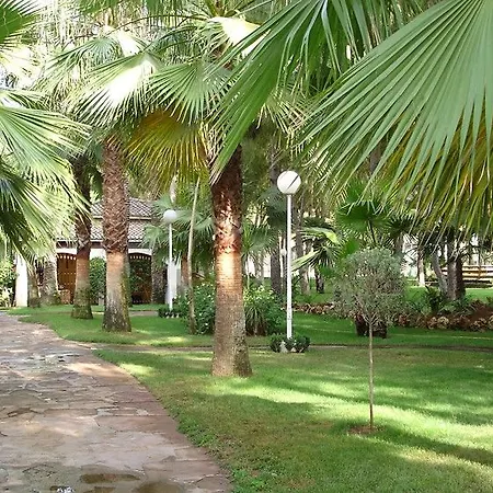 Resort Oasis-2