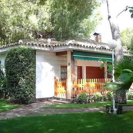 Resort Oasis-3
