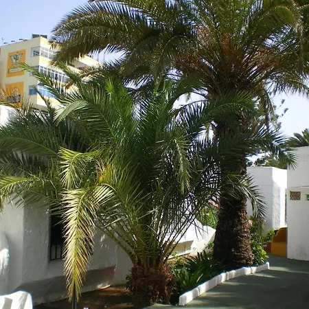 Bungalows Tenesoya Gay Men Only-3