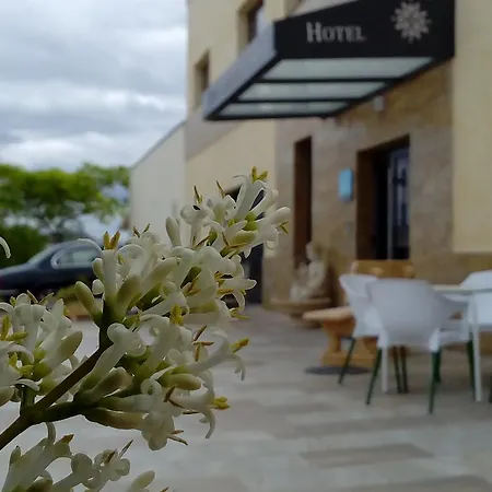 Hotel Primavera-3