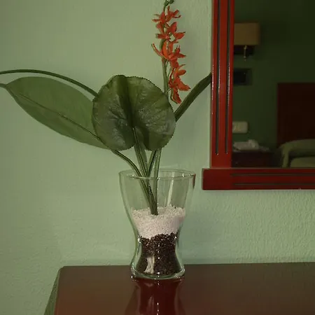 Hotel Serit-3