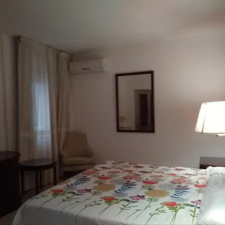Hotel Nuevo Ara-3