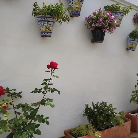 Hostal Esencia De Azahar-3