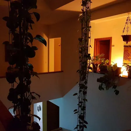 Casa Algaida-3