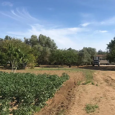 The Farm Tiny House - Tiny Casa-2