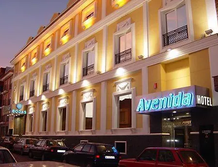 Hotel Avenida Leganés-3
